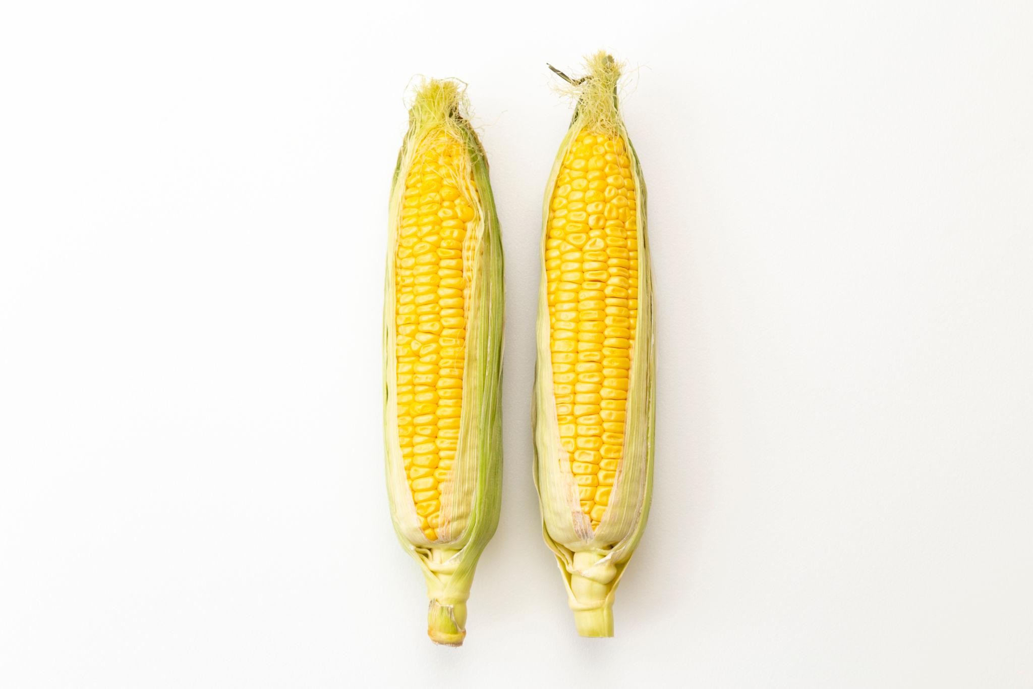 Premium Sweet Corn Seeds V1
