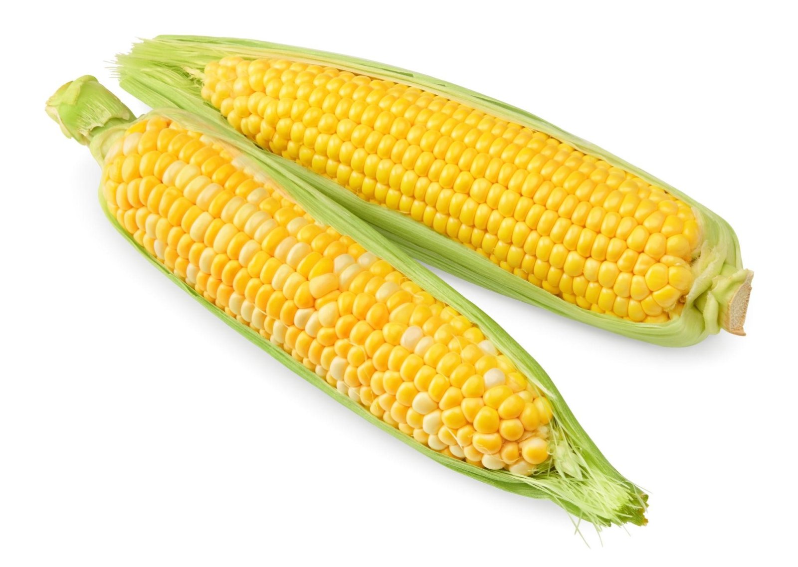 Premium Sweet Corn Seeds V1