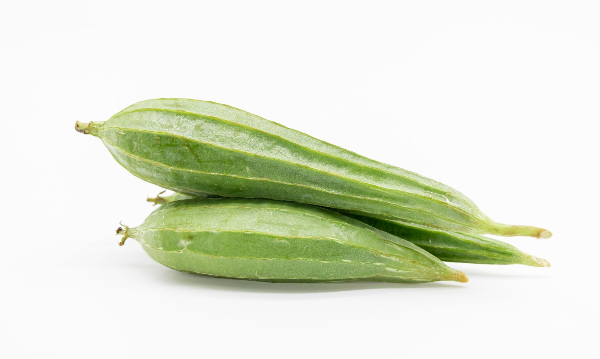 Premium Ridge Gourd Seeds V3