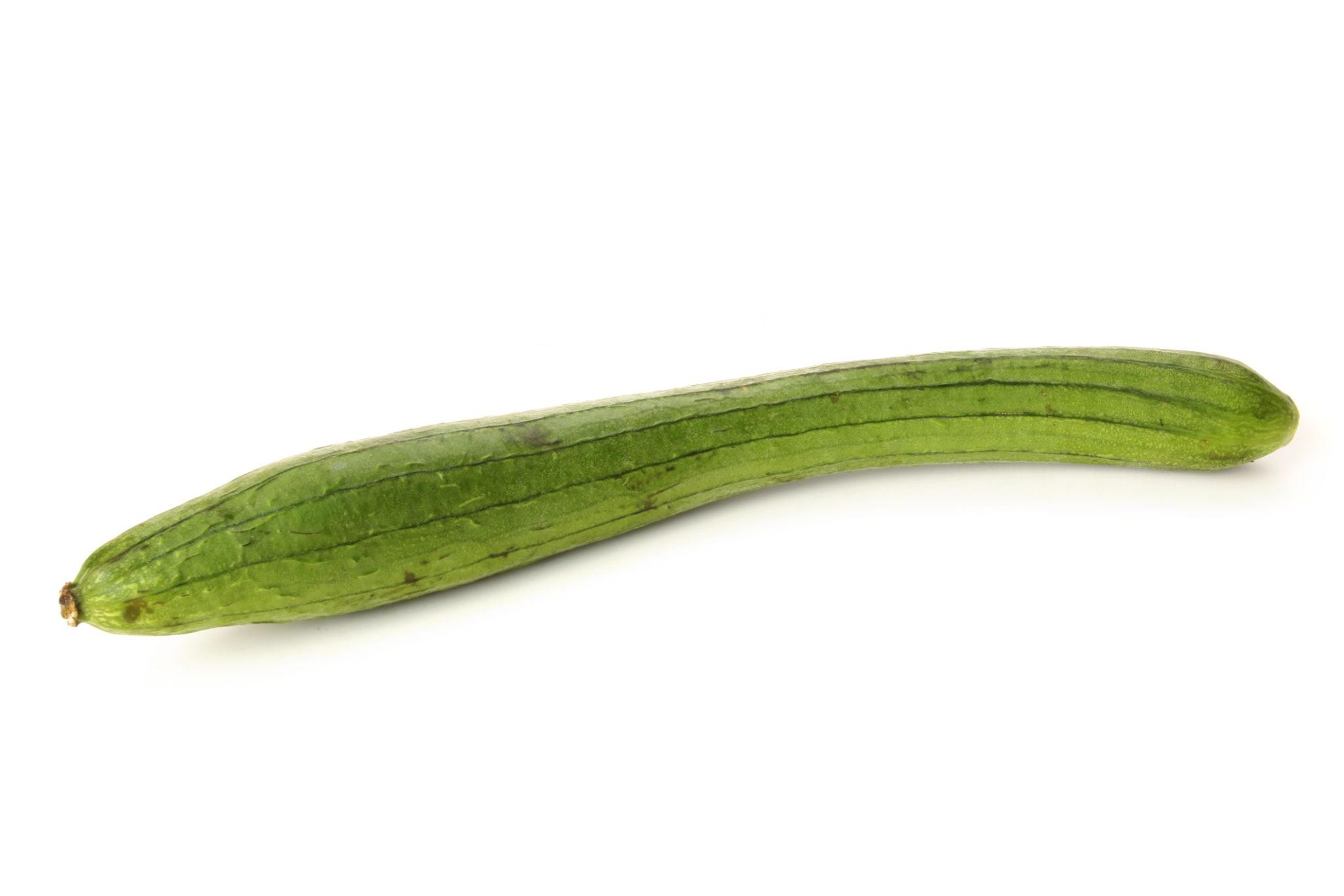 Premium Ridge Gourd Seeds V3