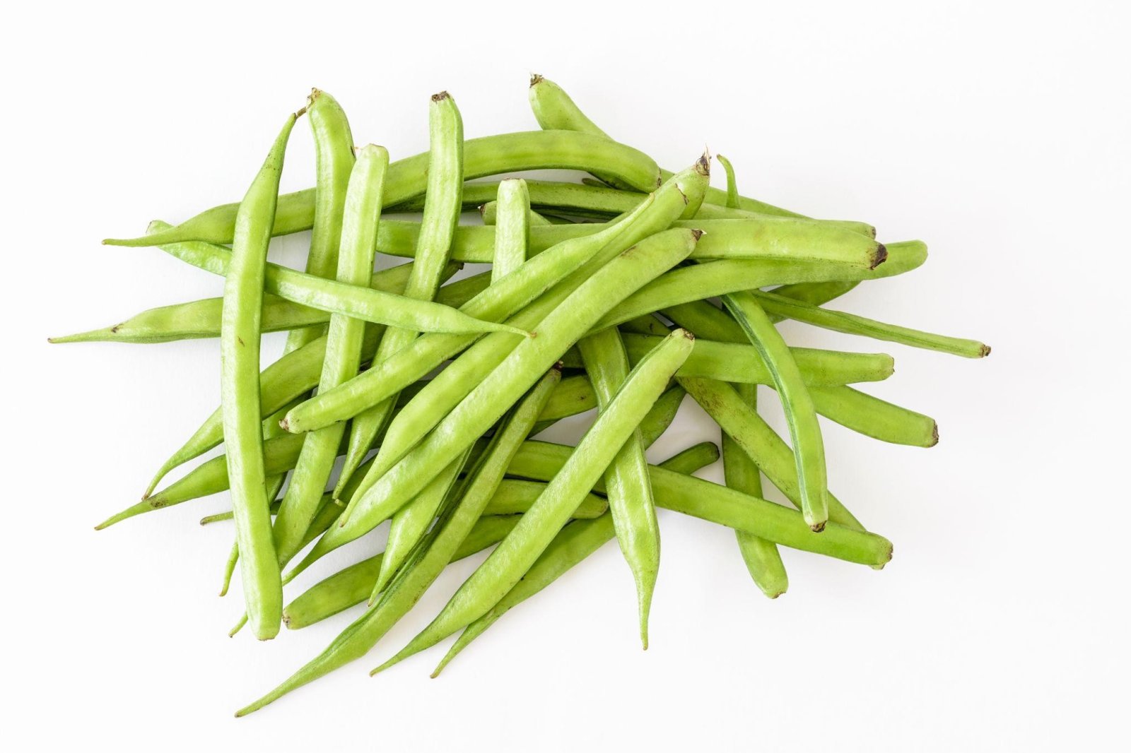 Premium Bean Seeds V3