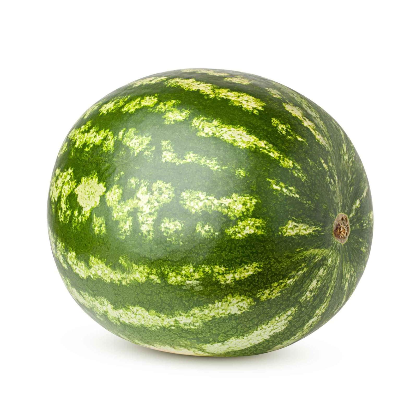 Premium Watermelon Seeds V1