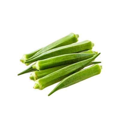Premium Okra Seeds V2