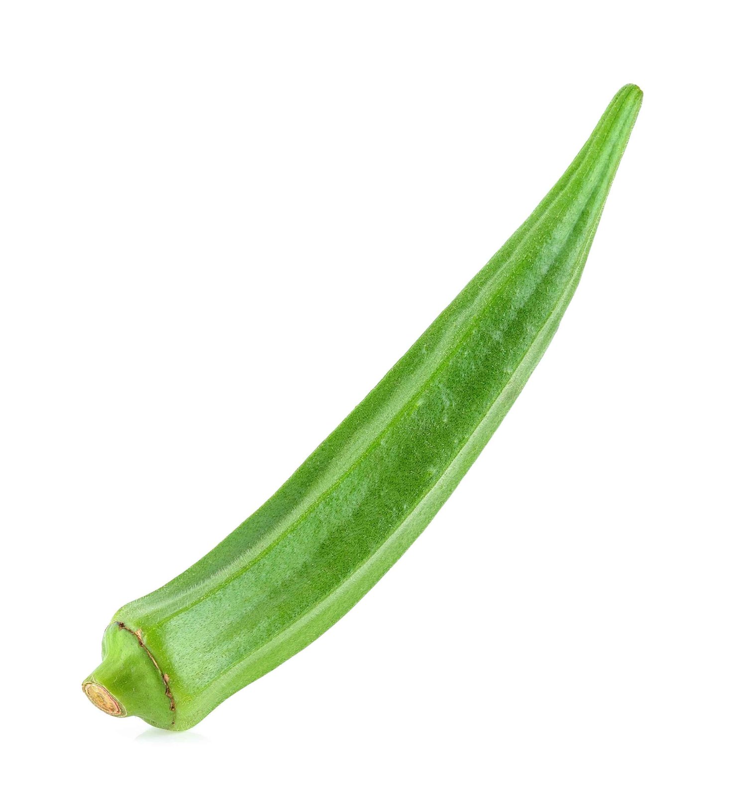 Premium Okra Seeds V1