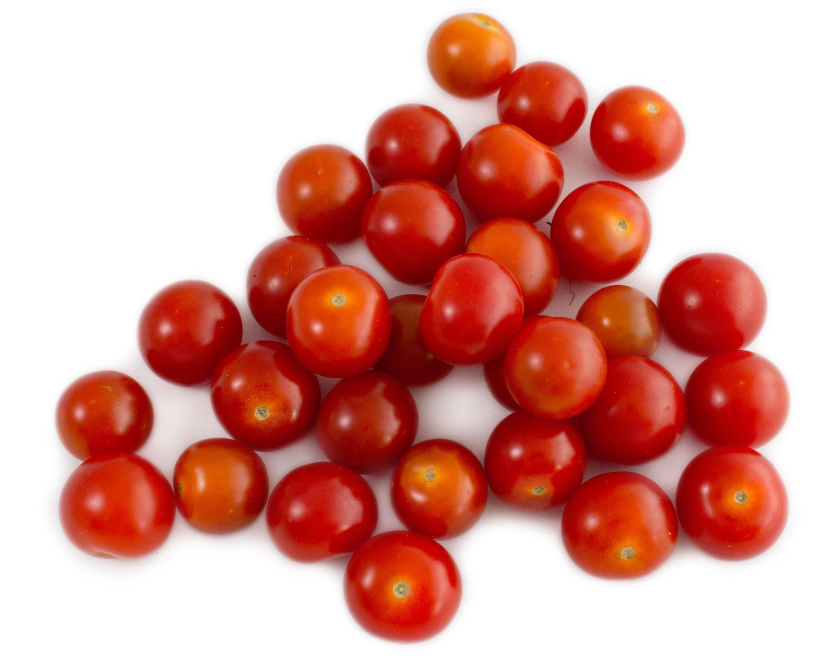 Premium Tomato Seeds V2
