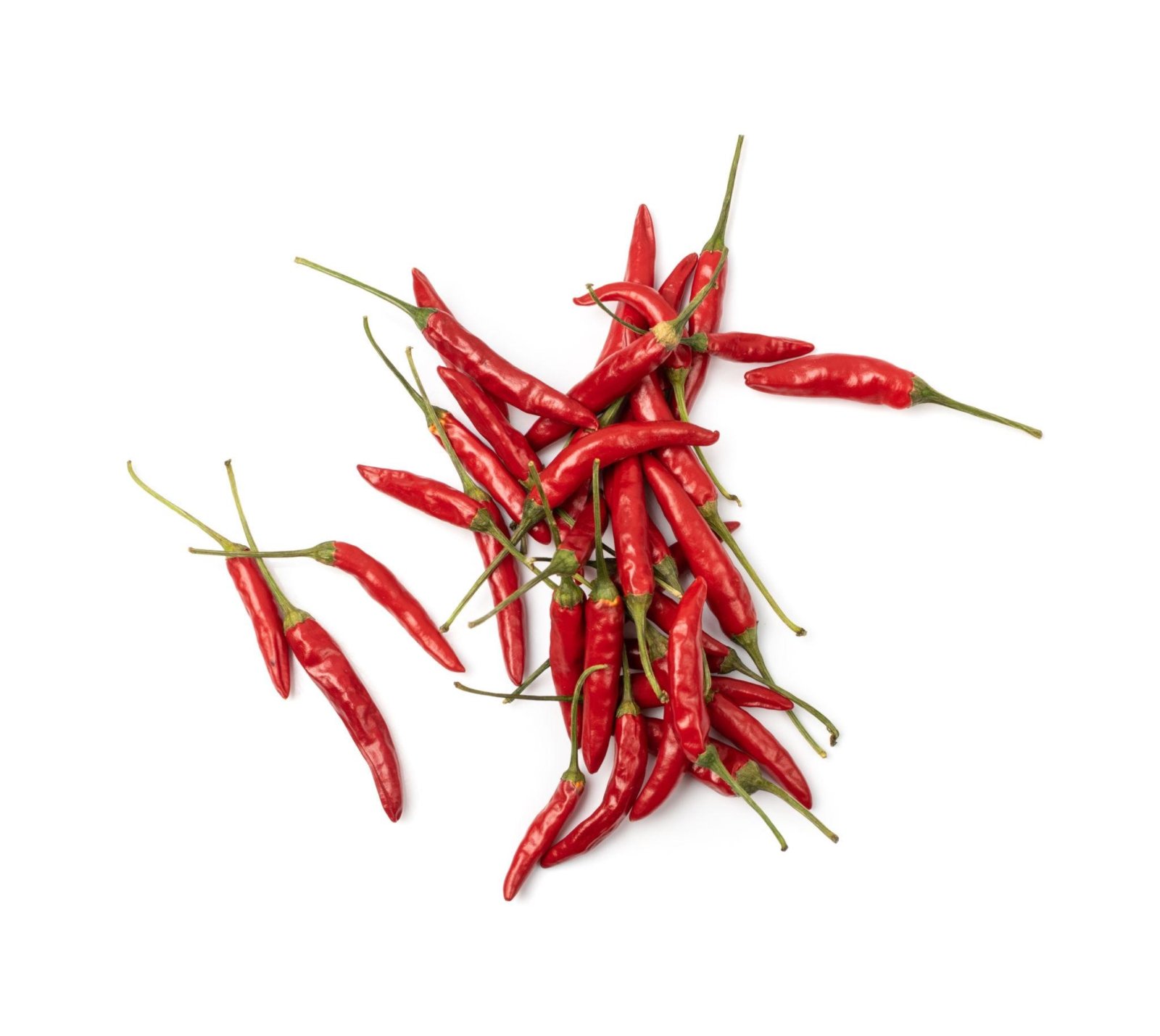 Premium Hot Pepper Seeds V4