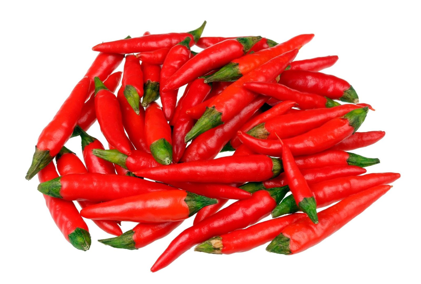 Premium Hot Pepper Seeds V4