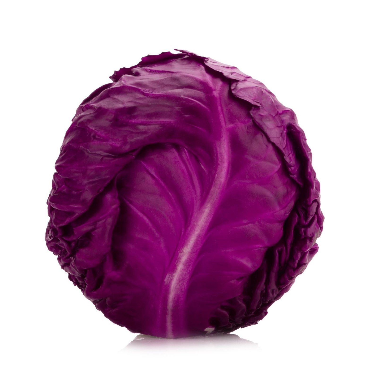 Premium Cabbage Seeds V3