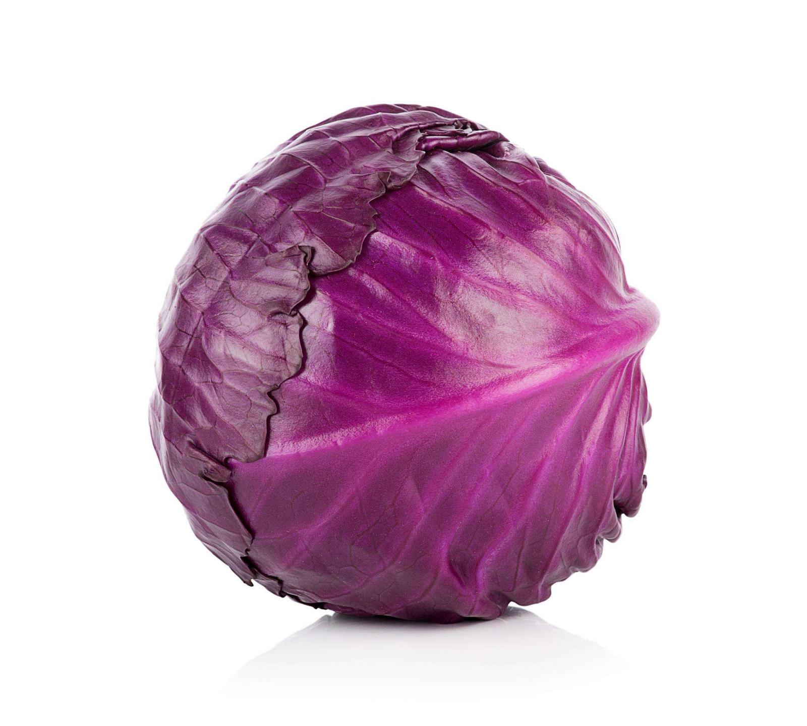 Premium Cabbage Seeds V3